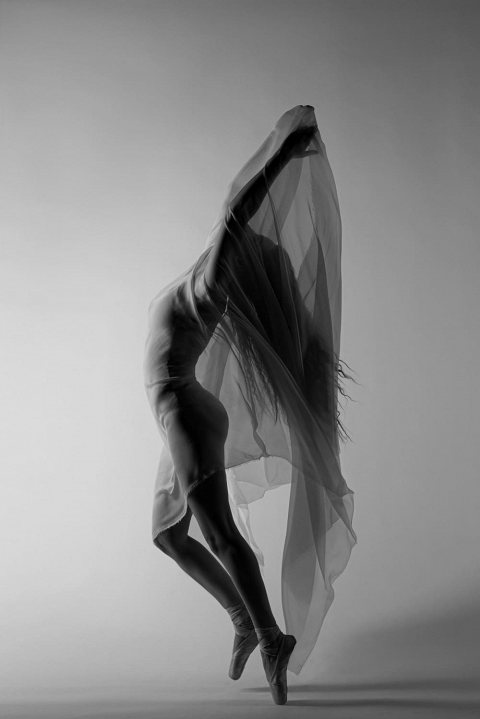 Nina Shutter