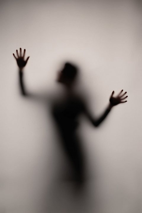 Nina Shutter