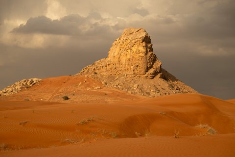 Nina Shutter