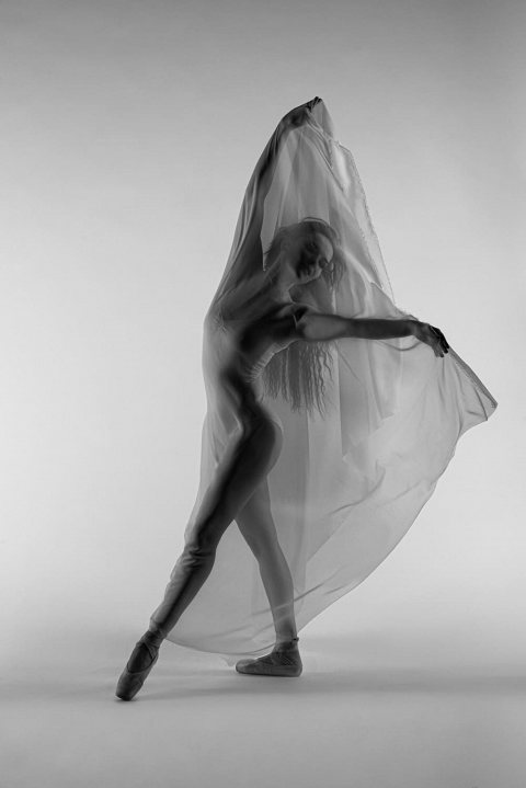 Nina Shutter